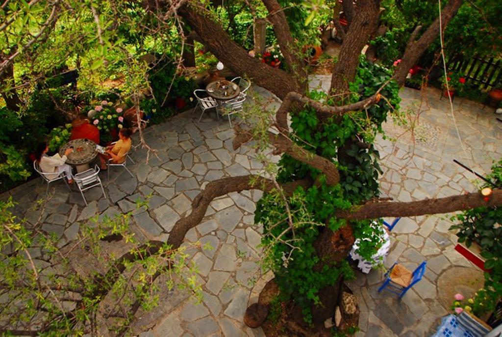 Atzanou Rooms Kamariotissa Номер фото