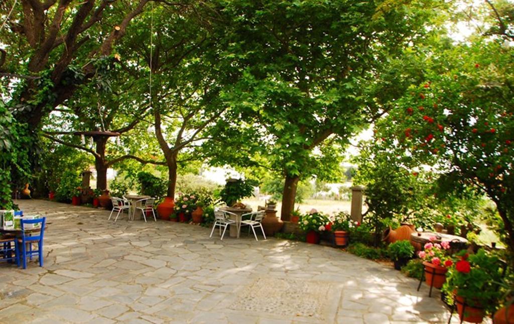 Atzanou Rooms Kamariotissa Номер фото