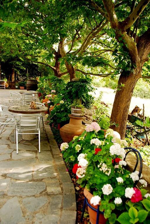 Atzanou Rooms Kamariotissa Экстерьер фото